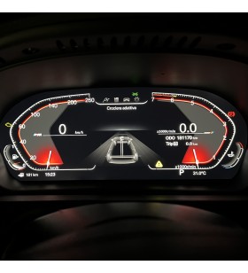 Virtual Cockpit BMW X5 E70 12,3 pollici