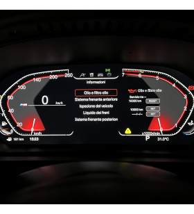 Virtual Cockpit BMW X5 E70 12,3 pollici