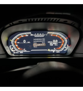 Virtual Cockpit BMW X5 E70 12,3 pollici