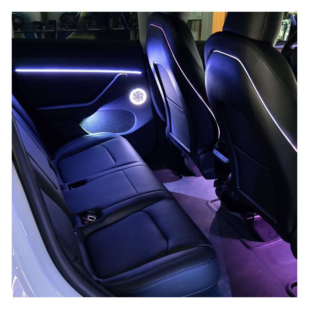 Kit Ambient Light Tesla Model Y