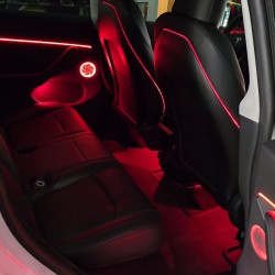 Kit Ambient Light Tesla Model Y