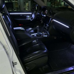 Kit Ambient Light SsangYong Rexton 2006–2017