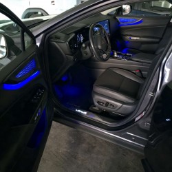 Ambient Light blu Lexus NX 350h - portiere e vano piedi